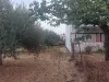 Βερουδάκη Οικόπεδο 2