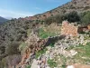 οικοπεδο