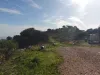 οικοπεδο
