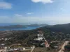 θεα
