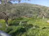 Αγροτεμάχιο Καρέ Δήμου Ρεθύμνου 1