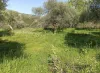 Αγροτεμάχιο Καρέ Δήμου Ρεθύμνου 3