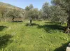 Αγροτεμάχιο Καρέ Δήμου Ρεθύμνου 4