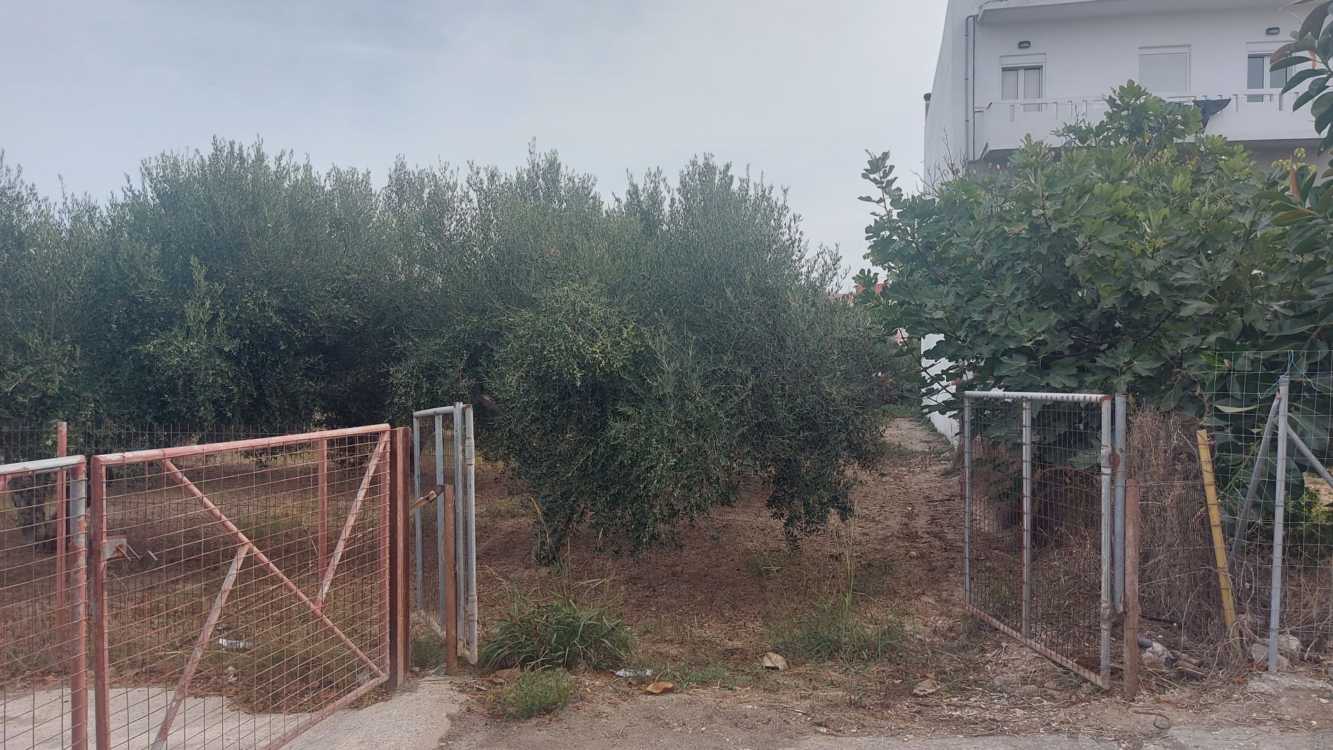 Βερουδάκη Οικόπεδο 6