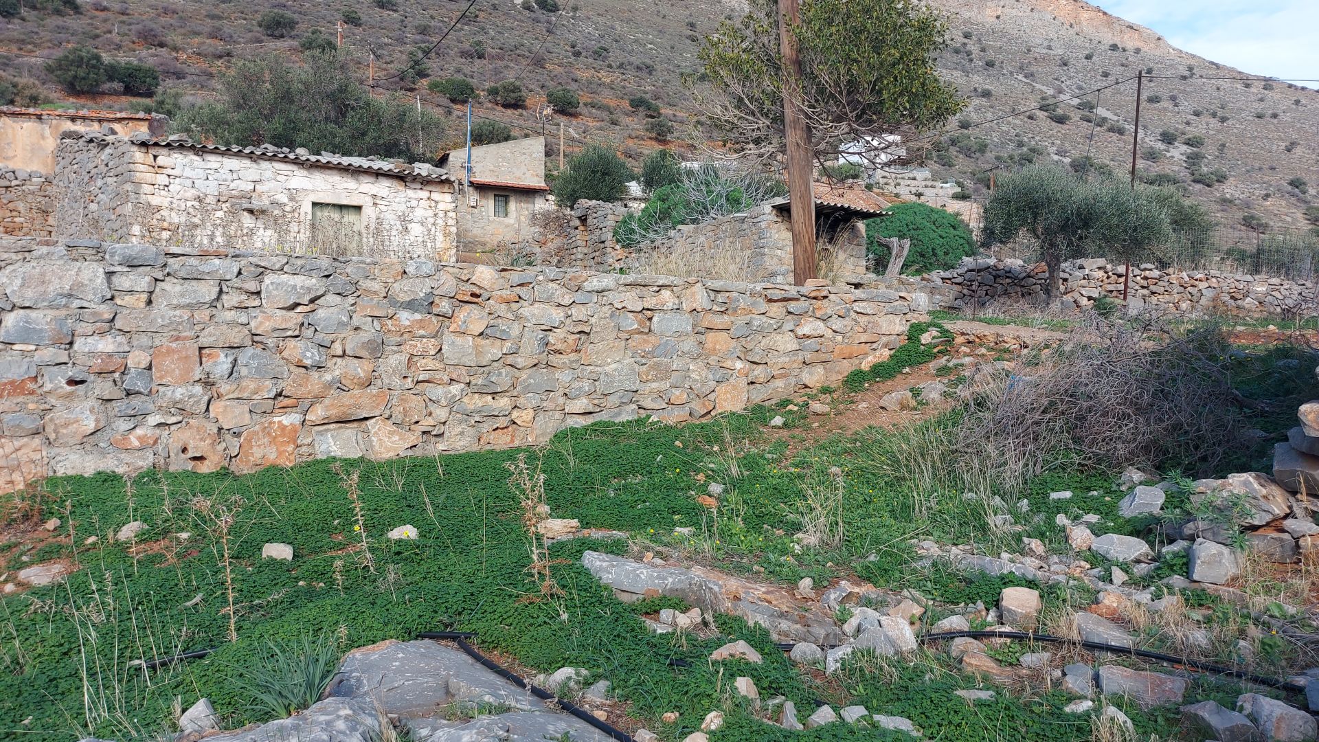 εξωτερική όψη