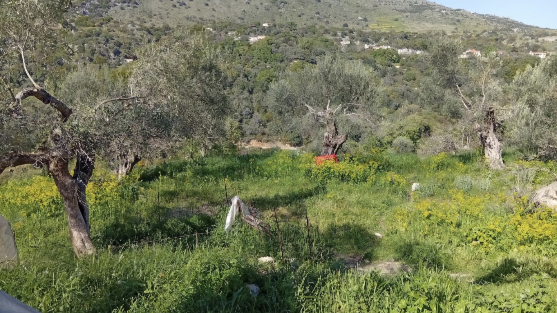Αγροτεμάχιο Καρέ Δήμου Ρεθύμνου 1